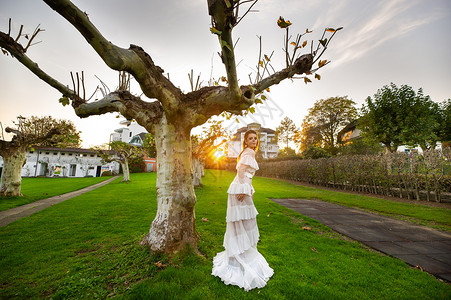 穿着白婚礼服的新娘 位于奥地利城镇的一个公园中 日落时有大树压痛婚纱婚礼城市形象树木魅力青年建筑学空气背景图片