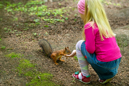 女孩和松鼠一个小女孩喂松鼠 在自然公园的森林里养松鼠背景