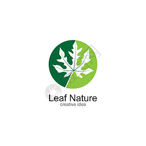绿叶生态自然元素vecto植物商业收藏热带环境装饰品生活公司插图美丽背景图片