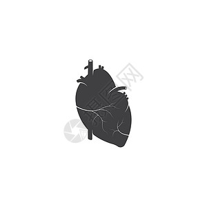 血同脉人类心脏医学 vecto插图卡通片静脉有氧运动手术主动脉器官绘画外科心血管插画