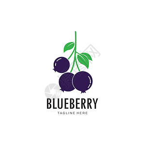 蓝莓黑加仑蓝莓标志矢量模板收藏美食收成水果村庄标识插图叶子市场花园插画