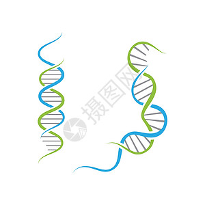 螺旋DNA医学 DNA 矢量图标设计它制作图案生活生物基因组基因药店药品生物学螺旋科学救护车插画