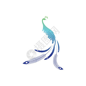 鸟尾巴孔雀标志设计矢量模板羽毛商业标识飞行身份麻雀推广航班插图沙龙插画