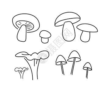 蘑菇秋季素描白色背景上的细线背景图片