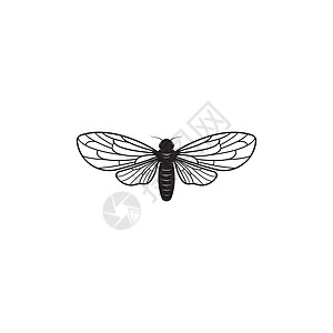 蝉翅膀蝉标志矢量图标模板动物蜜蜂森林宏观翅膀昆虫艺术卡通片眼睛野生动物插画