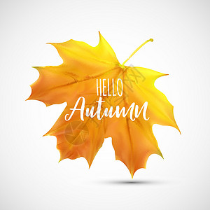 闪亮的你好秋天自然树叶背景 它制作图案矢量金子季节圆圈亮度感恩活动橙子插图植物框架背景图片