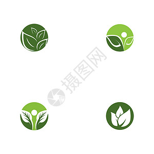 设置叶生态标志模板 vecto插图网络植物叶子绿色生活环境白色背景图片