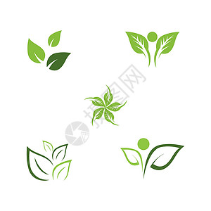 设置叶生态标志模板 vecto插图生活环境绿色网络叶子白色植物背景图片