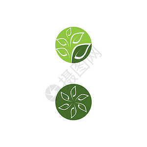叶生态标志模板 vecto白色插图生活叶子绿色环境网络植物背景图片