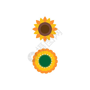 太阳花标志模板 vecto植物标识太阳白色向日葵黄色艺术花瓣绿色插图背景图片