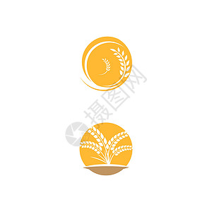 小麦 Logo 模板矢量符号面包食物标识生长粮食农场植物耳朵谷物收成背景图片