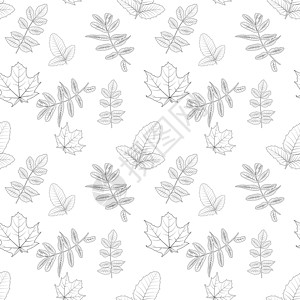 在白色的自然主义秋叶 无缝模式 矢量插图季节艺术棕榈花园植物树叶森林背景图片