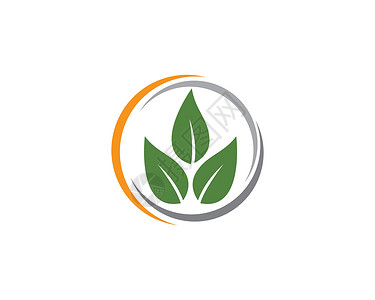 绿叶生态自然元素矢量 ico叶子环境插图美丽热带收藏植物公司装饰品标识背景图片