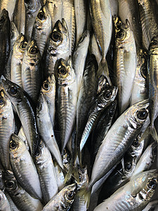 鱼箱中新鲜鱼 准备在市场上出售的鱼码头摊位渔业团体盒子海洋大部分海鲜钓鱼烹饪背景