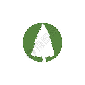 Cedar 树形矢量图标插图设计模板植物金融木头云杉贸易夹子艺术树木公园生态背景图片