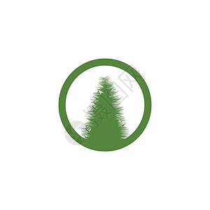 Cedar 树形矢量图标插图设计模板图表木头云杉植物金融树木针叶树贸易夹子公园背景图片