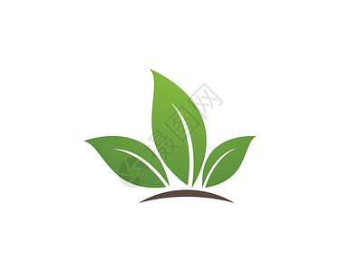 生态自然元素商业标识植物装饰品插图环境公司热带美丽生活背景图片