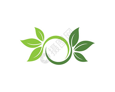 生态自然元素矢量 ico插图标识热带收藏叶子植物美丽公司装饰品商业背景图片