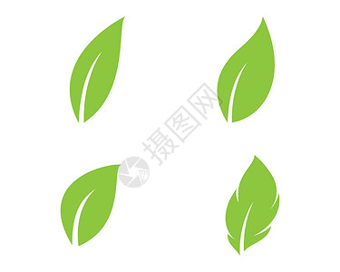 生态自然元素矢量 ico收藏热带标识商业公司叶子植物插图装饰品环境背景图片