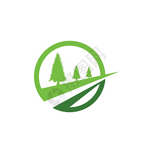 Cedar 树形矢量图标插图设计模板云杉植物公园图表木头树木贸易针叶树艺术夹子背景图片