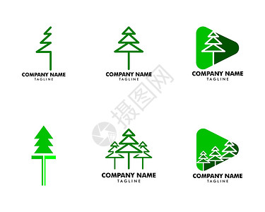 绿化标志一套松树标志设计模板树木徽章生态标签爬坡植物园林插图木头花园插画