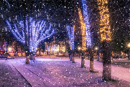 冬季夜间公园下雪 有圣诞节装饰品 灯光 铺满雪和树木的行人道季节小路路灯彩灯降雪圣诞天气调子路面人行道背景图片