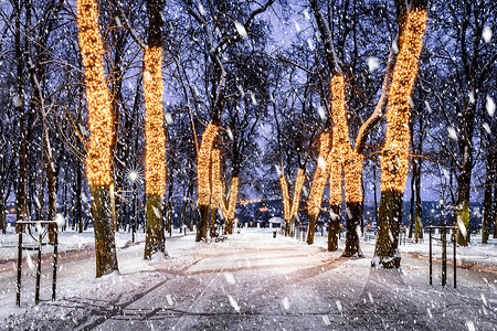 冬季夜间公园下雪 有圣诞节装饰品 灯光 铺满雪和树木的行人道冻结调子城市彩灯灯笼路面装饰季节公共公园人行道背景图片