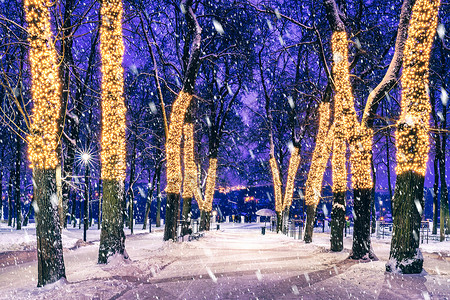 冬季夜间公园下雪 有圣诞节装饰品 灯光 铺满雪和树木的行人道城市路灯路面小路场景调子彩灯胡同公共公园降雪背景图片