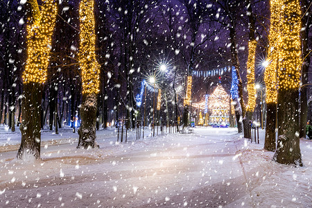 冬季夜间公园下雪 有圣诞节装饰品 灯光 铺满雪和树木的行人道季节人行道公共公园小路路灯降雪圣诞冻结灯笼天气背景图片