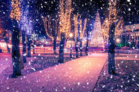 冬季夜间公园下雪 有圣诞节装饰品 灯光 铺满雪和树木的行人道天气圣诞路面彩灯灯笼季节调子场景公共公园路灯背景图片