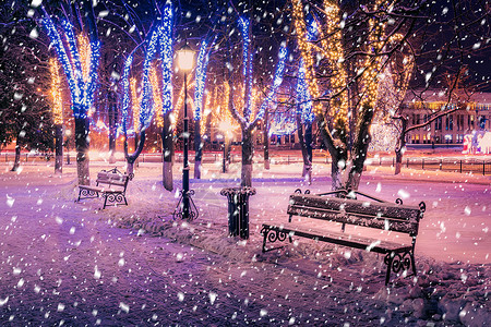 冬季夜间公园下雪 有圣诞节装饰品 灯光 铺满雪和树木的行人道小路天气场景胡同降雪路灯公共公园圣诞装饰城市背景图片
