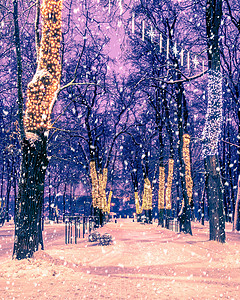 冬季夜间公园下雪 有圣诞节装饰品 灯光 铺满雪和树木的行人道胡同路灯彩灯路面调子公共公园城市天气装饰场景背景图片