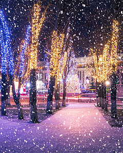 冬季夜间公园下雪 有圣诞节装饰品 灯光 铺满雪和树木的行人道城市圣诞路灯调子彩灯人行道季节降雪装饰公共公园背景图片