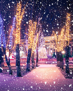 冬季夜间公园下雪 有圣诞节装饰品 灯光 铺满雪和树木的行人道人行道天气小路降雪胡同公共公园圣诞冻结彩灯季节背景图片