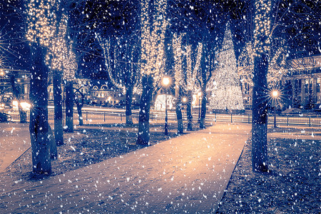 冬季夜间公园下雪 有圣诞节装饰品 灯光 铺满雪和树木的行人道冻结城市场景降雪季节人行道路面彩灯小路胡同背景图片