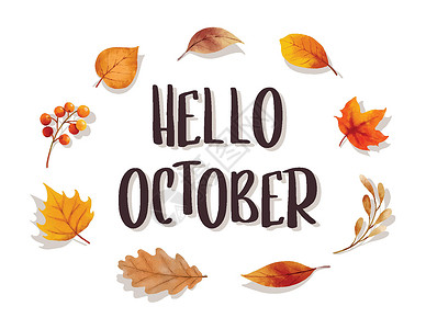 你好十月与华丽的叶子花框 秋季十月手绘字体模板设计标签书法横幅绘画季节框架刻字店铺植物卡片设计图片