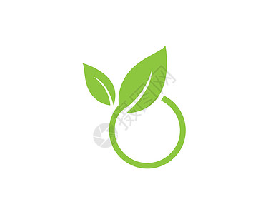 生态自然元素 vecto插图商业生物绿色环境生长树叶健康生活叶子背景图片