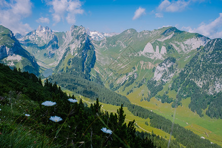 莱茵河谷中上游瑞士阿尔卑斯山的巨型岩层 独特的山峰 萨克斯卢克的瑞士阿尔卑斯山旅行草地远足峡谷旅游编队花朵石灰石高山悬崖背景