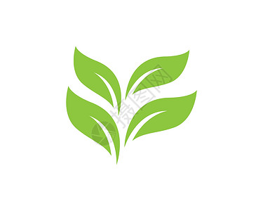 树叶矢量标志设计热带植物商业环境生长叶子生态生活插图绿色背景图片
