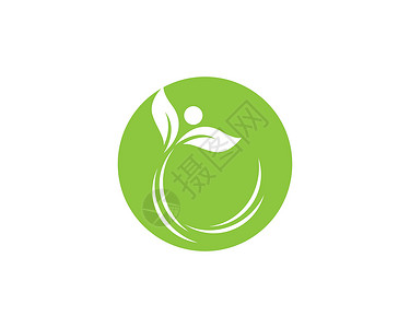 树叶矢量标志设计生长热带商业植物绿色叶子环境插图生活生态背景图片