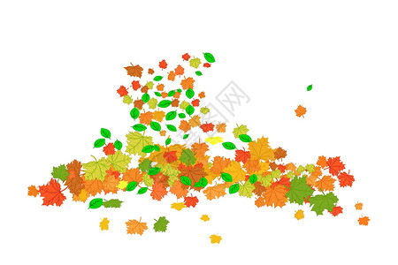 九月在巴塞尔孤立在白色背景上的橙色和红色秋天枫叶设计图片
