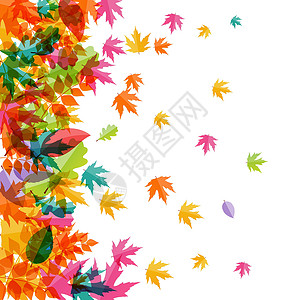 闪亮的秋天自然树叶背景 它制作图案矢量感恩圆圈植物金子框架亮度橙子叶子活动魔法背景图片