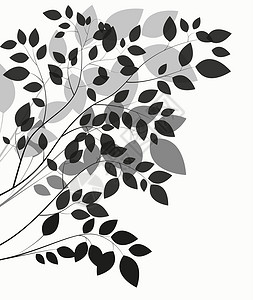 白色背景矢量图上美丽的树剪影花园标语程式化插图正方形森林黑色环境土地绘画背景图片