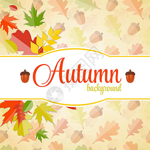 闪亮的秋天自然树叶背景 它制作图案矢量艺术植物魔法框架橙子活动金子圆圈季节绘画背景图片