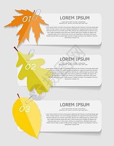 用于商业矢量图的秋叶信息图表模板  EPS1技术数据数字插图小册子网站报告树叶卡片网络背景图片
