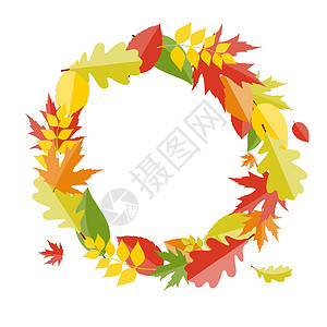 闪亮的秋天自然树叶背景 它制作图案矢量季节圆圈叶子艺术亮度感恩绘画框架魔法植物背景图片