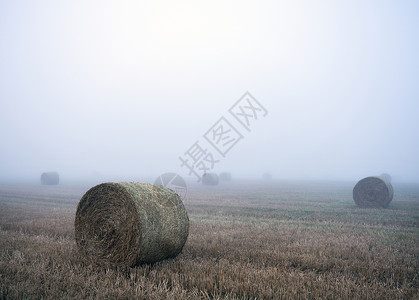 法兰西鲁昂附近草原上薄雾的清晨田地场地干草晨雾收获金子农场农业环境阳光农村背景