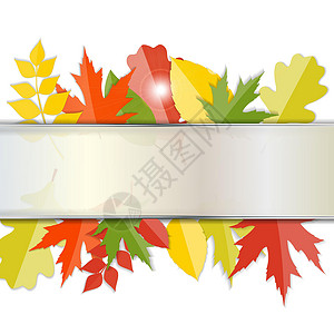 闪亮的秋天自然树叶背景 它制作图案矢量艺术魔法绘画橙子活动植物季节感恩金子亮度背景图片