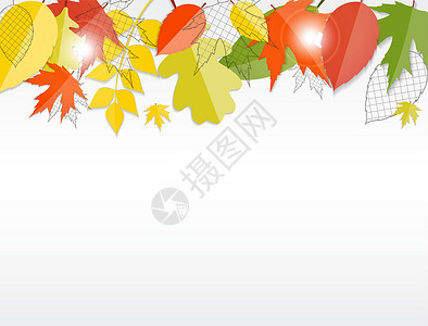 绘画叶子闪亮的秋天自然树叶背景 它制作图案矢量活动框架叶子亮度金子圆圈绘画魔法感恩季节设计图片