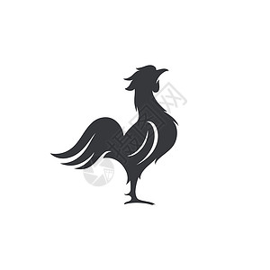 公鸡矢量 ico 的剪影十二生肖动物农场奢华小鸡黑色母鸡艺术男性羽毛背景图片
